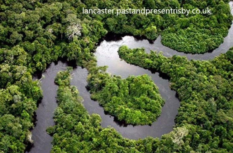 Berpetualang di Hutan Hujan Amazon Brasil